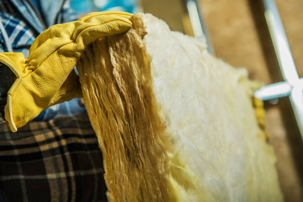 Best Residential Insulation in Algonquin, MD