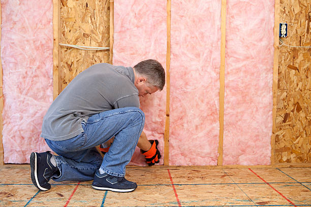 Best Insulation Installation Services in Algonquin, MD